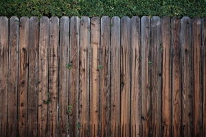 wooden garden fence