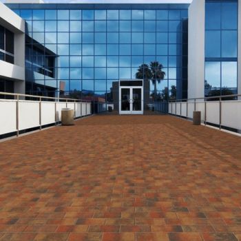 Driveway Paving