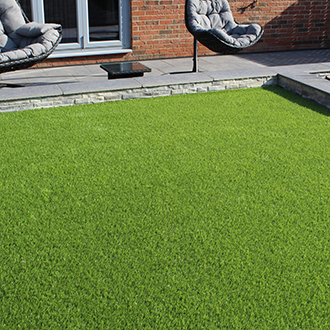 Grass