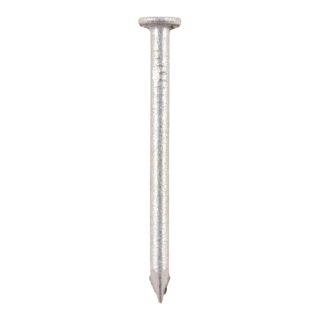 GALV ROUND WIRE NAILS 100x4.5  1KG GRW100B