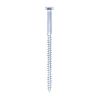 HEX HEAD COACH SCREW 6.0 X 100 BX200  06100CSC